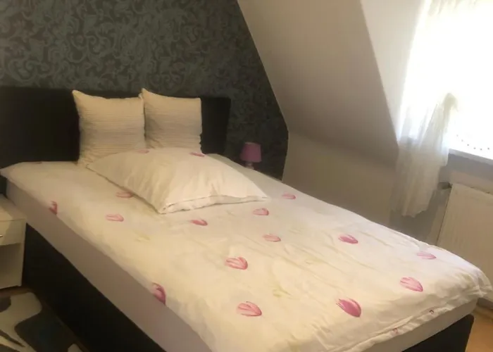 Messeapartment Agancy Ffm Апартаменты Франкфурт-на-Майне